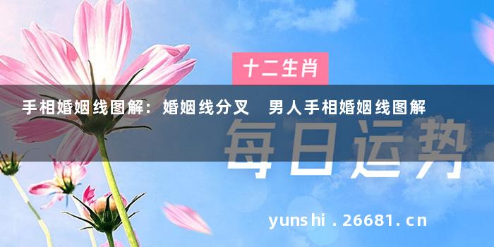 手相婚姻线图解:婚姻线分叉 男人手相婚姻线图解